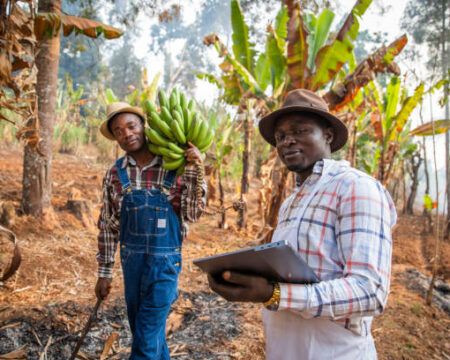 farmer-support farmer-support