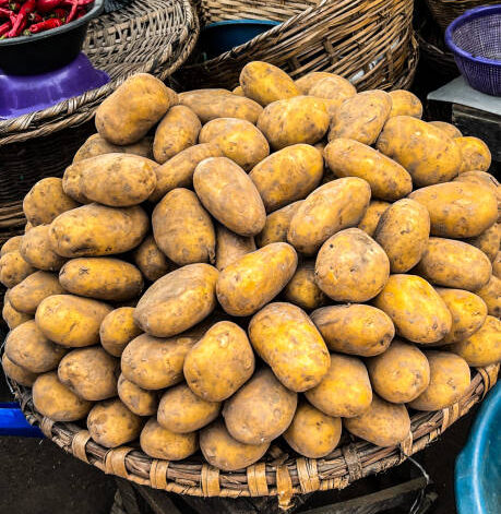 Un étalage de fruits et légumes