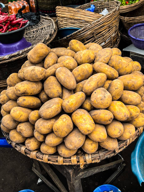 Un étalage de fruits et légumes